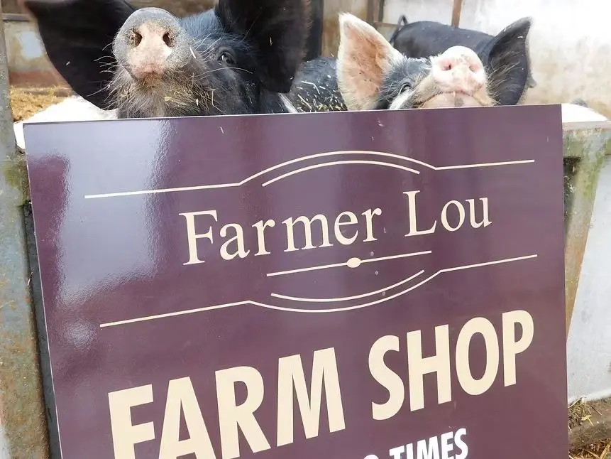 Farmer Lou photo 1