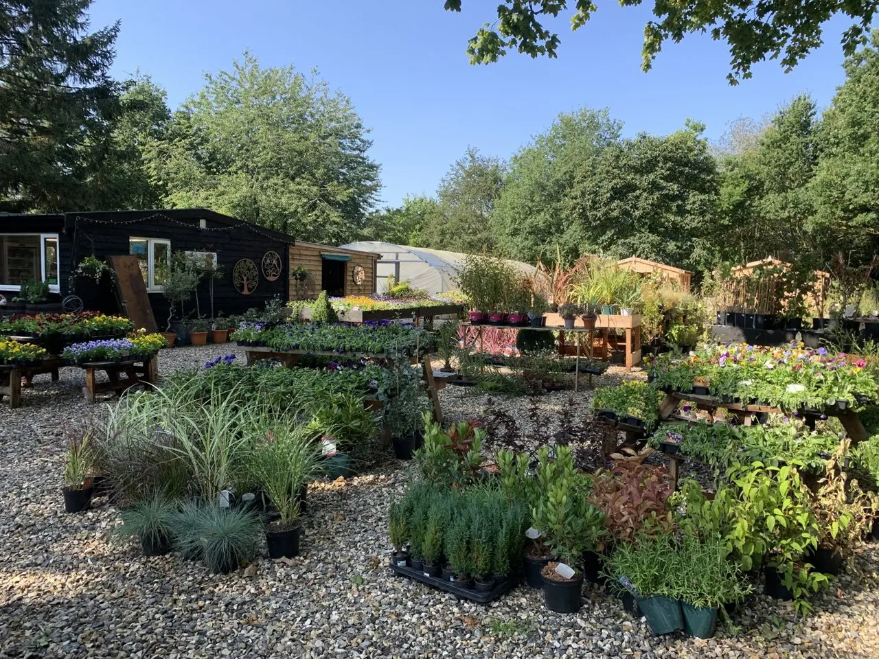 The Acorn Hut Farm Shop & Plant Centre main photo