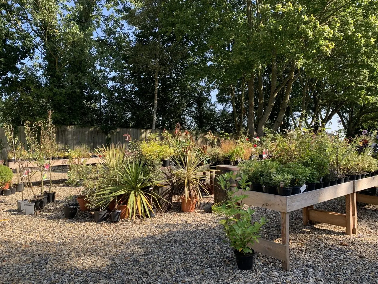 The Acorn Hut Farm Shop & Plant Centre photo 3