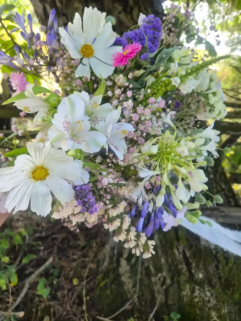 Side Farm Flowers main photo