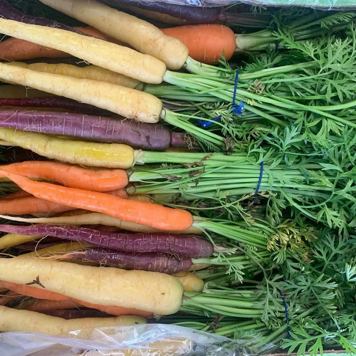 Dauntsey Farm Shop photo 3