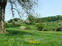Eaton Hill Farm photo 1
