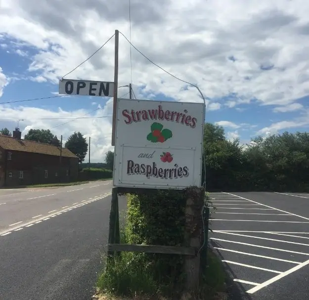 Sharrington Strawberries photo 3