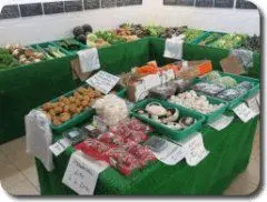 Cooks of Ingham Farmshop photo 1