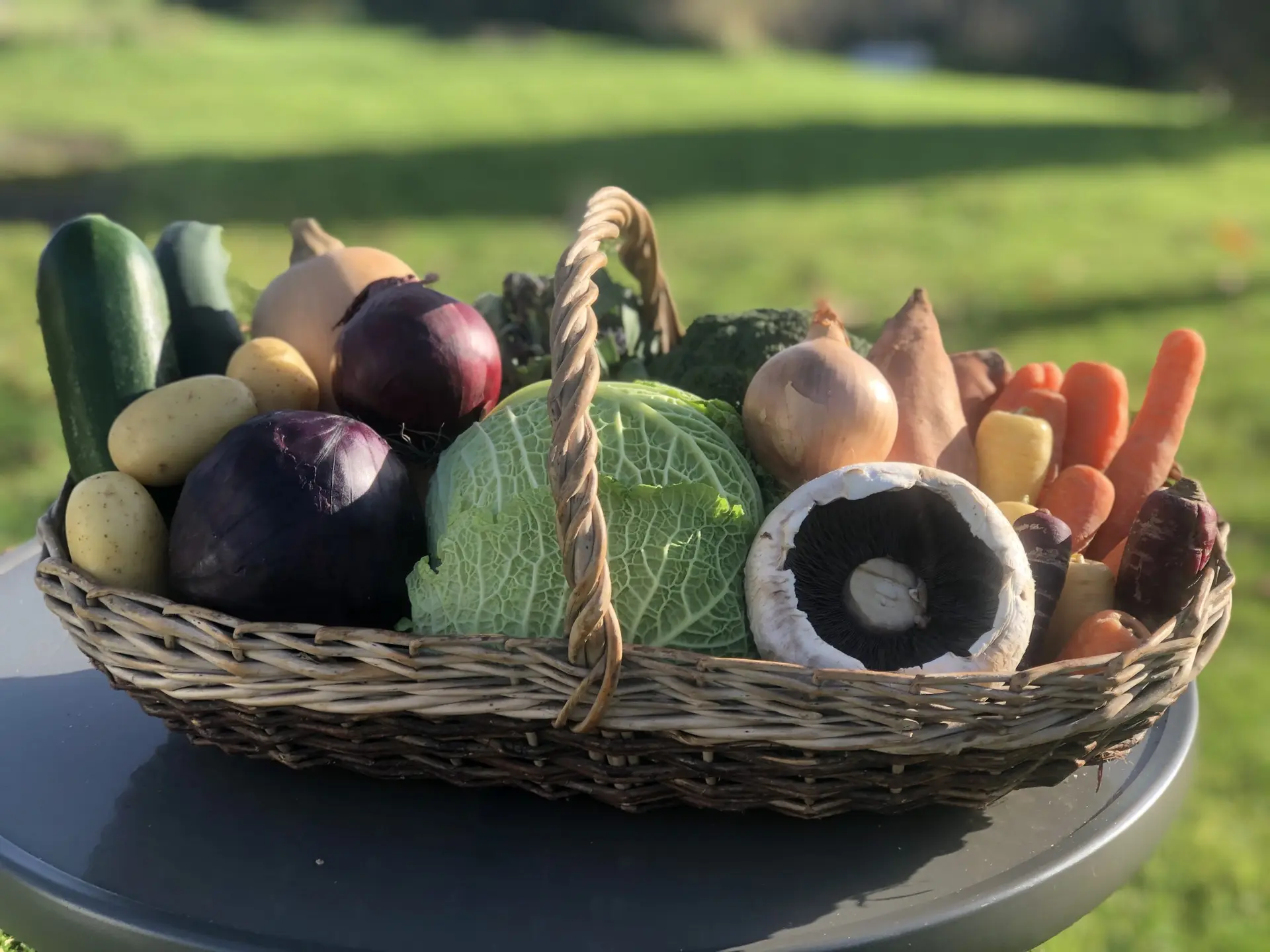 Quatt Farm Shop & Café photo 3
