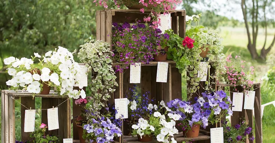 Meadowbrook Farm photo 4