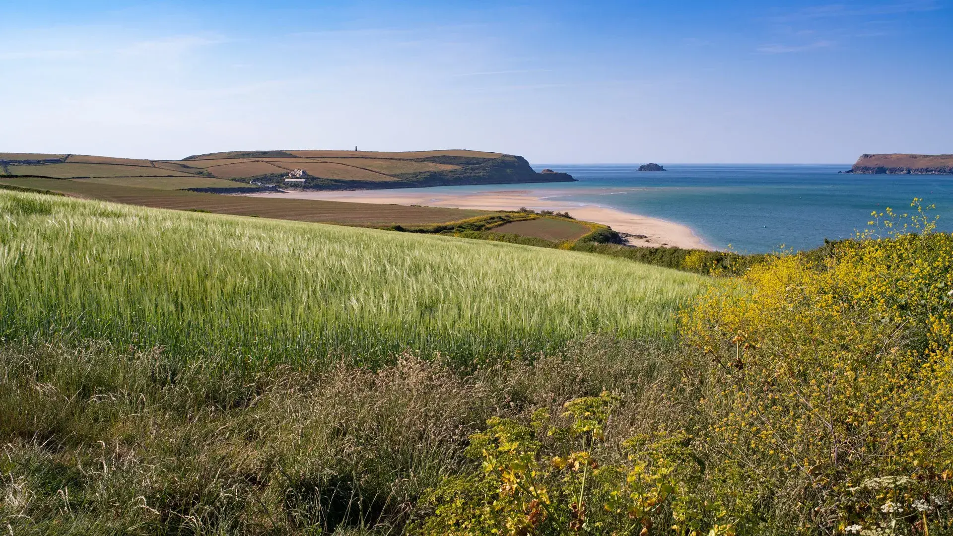 Padstow Farm Shop photo 3