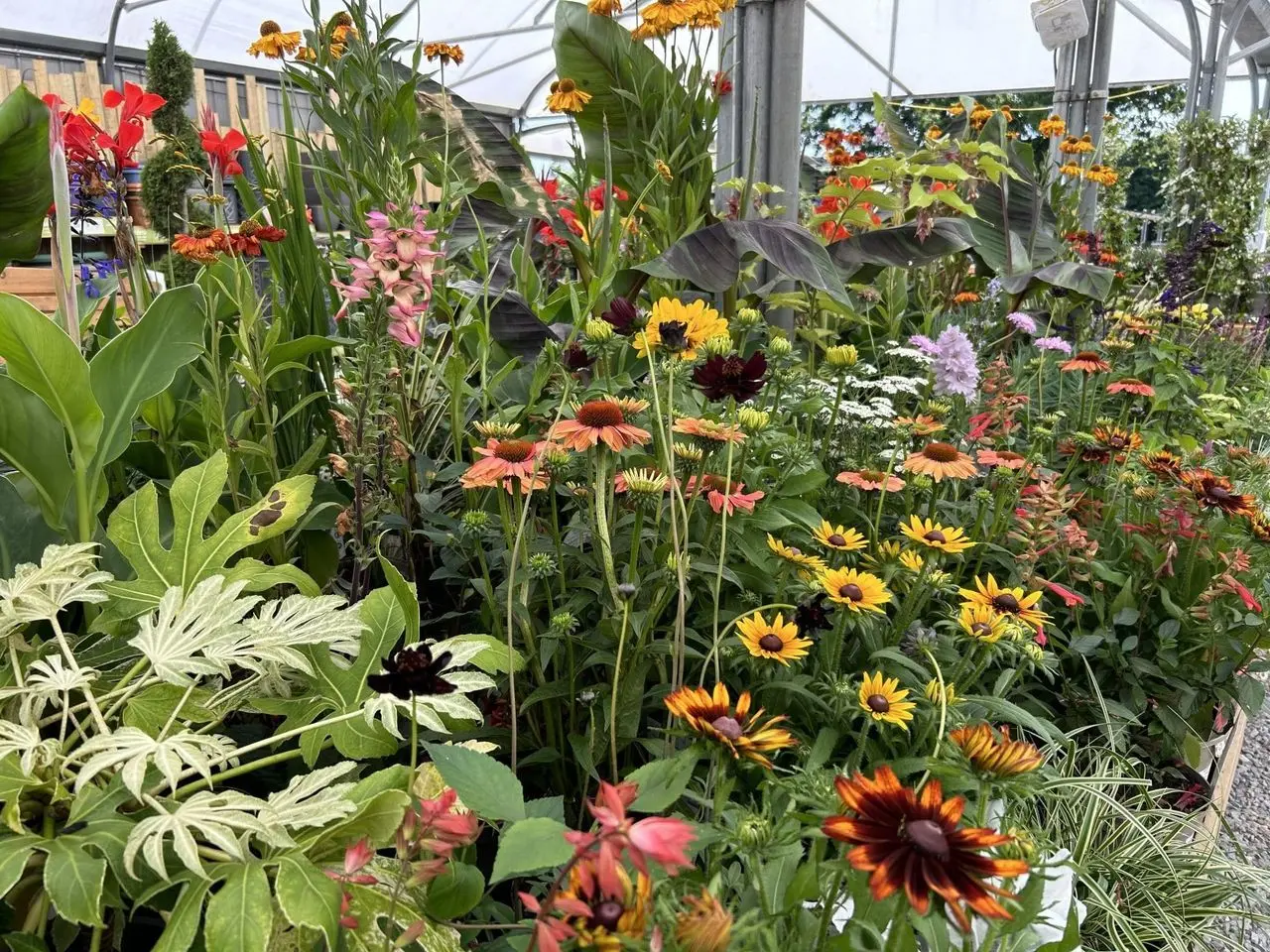 Gardentime main photo