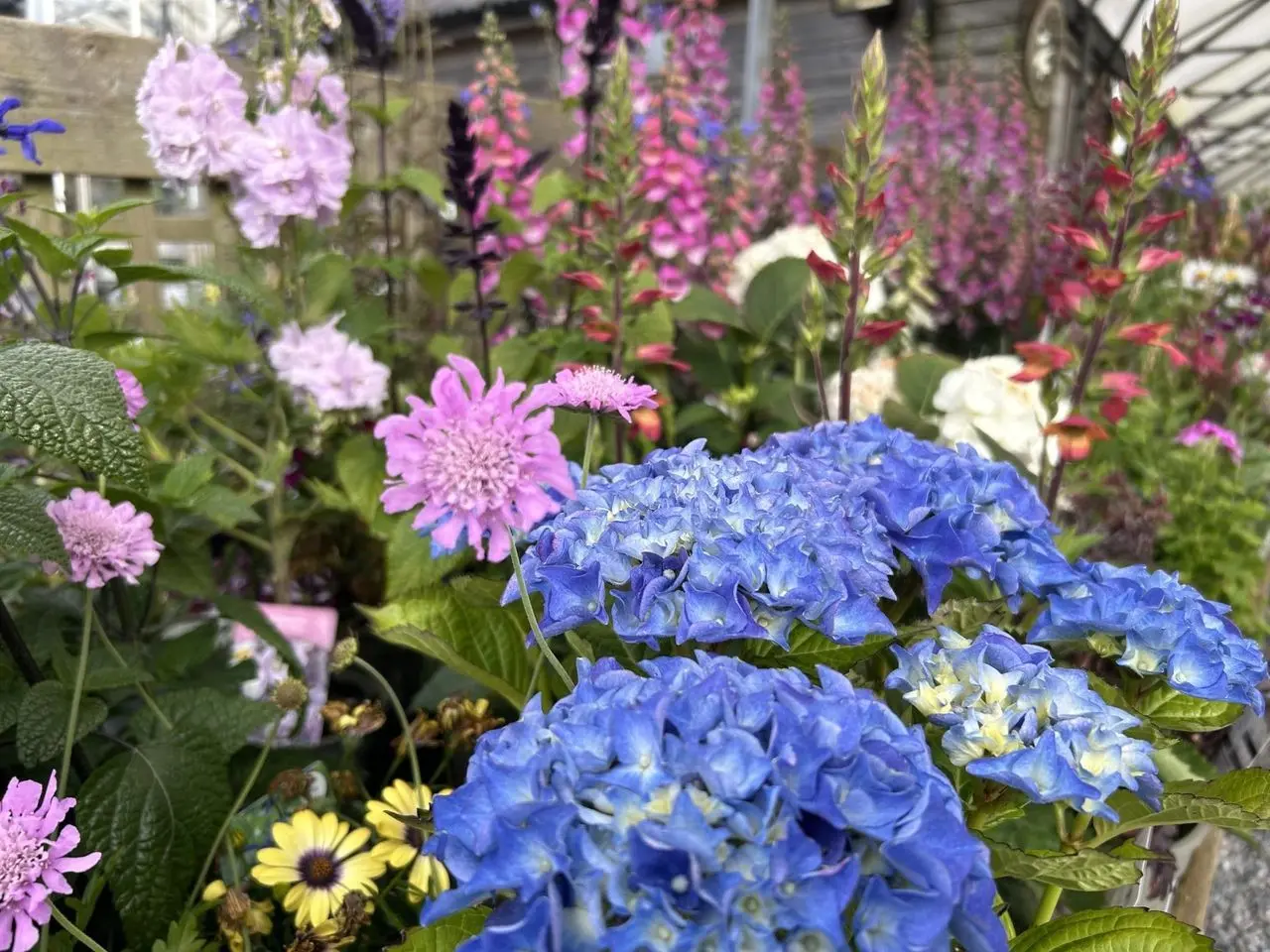 Gardentime photo 3