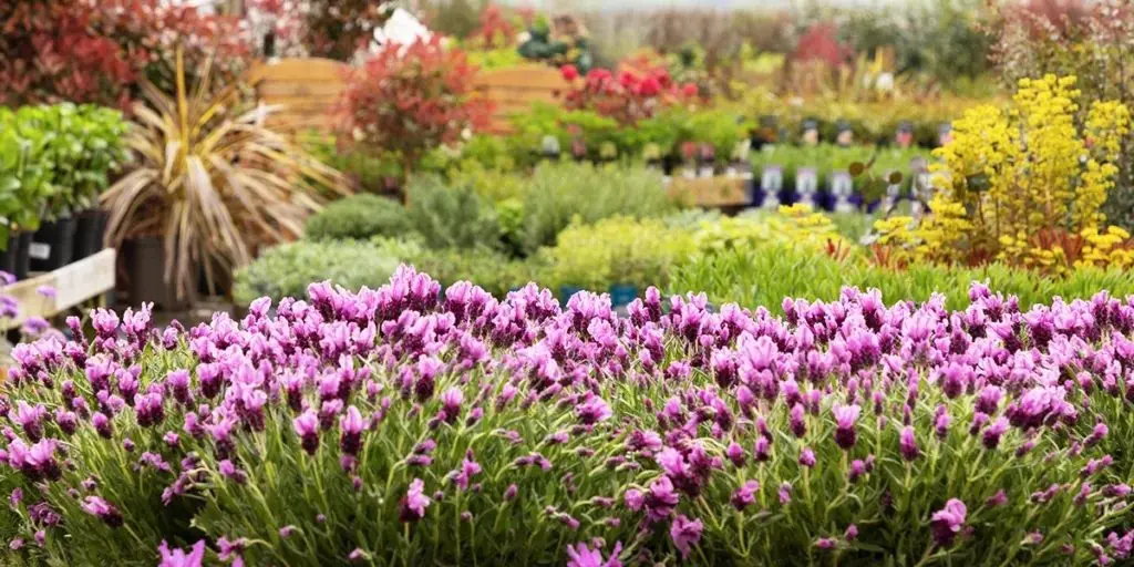 Gardentime photo 4