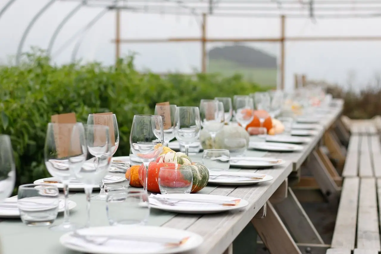 Padstow Kitchen Garden photo 1