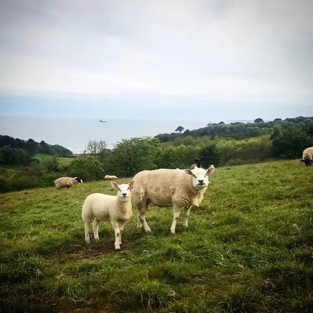 Treway Farm photo 2