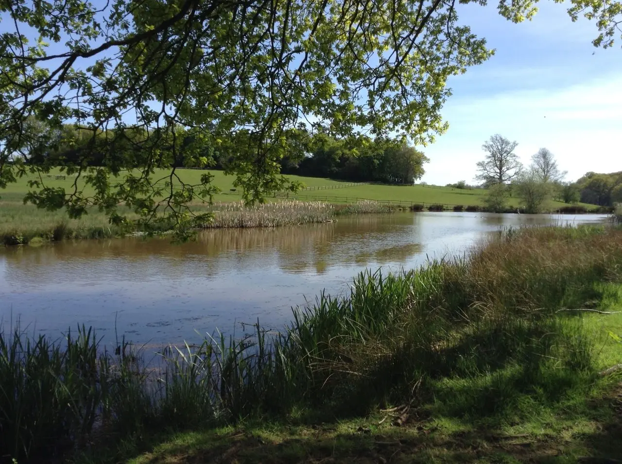 Park Farm main photo
