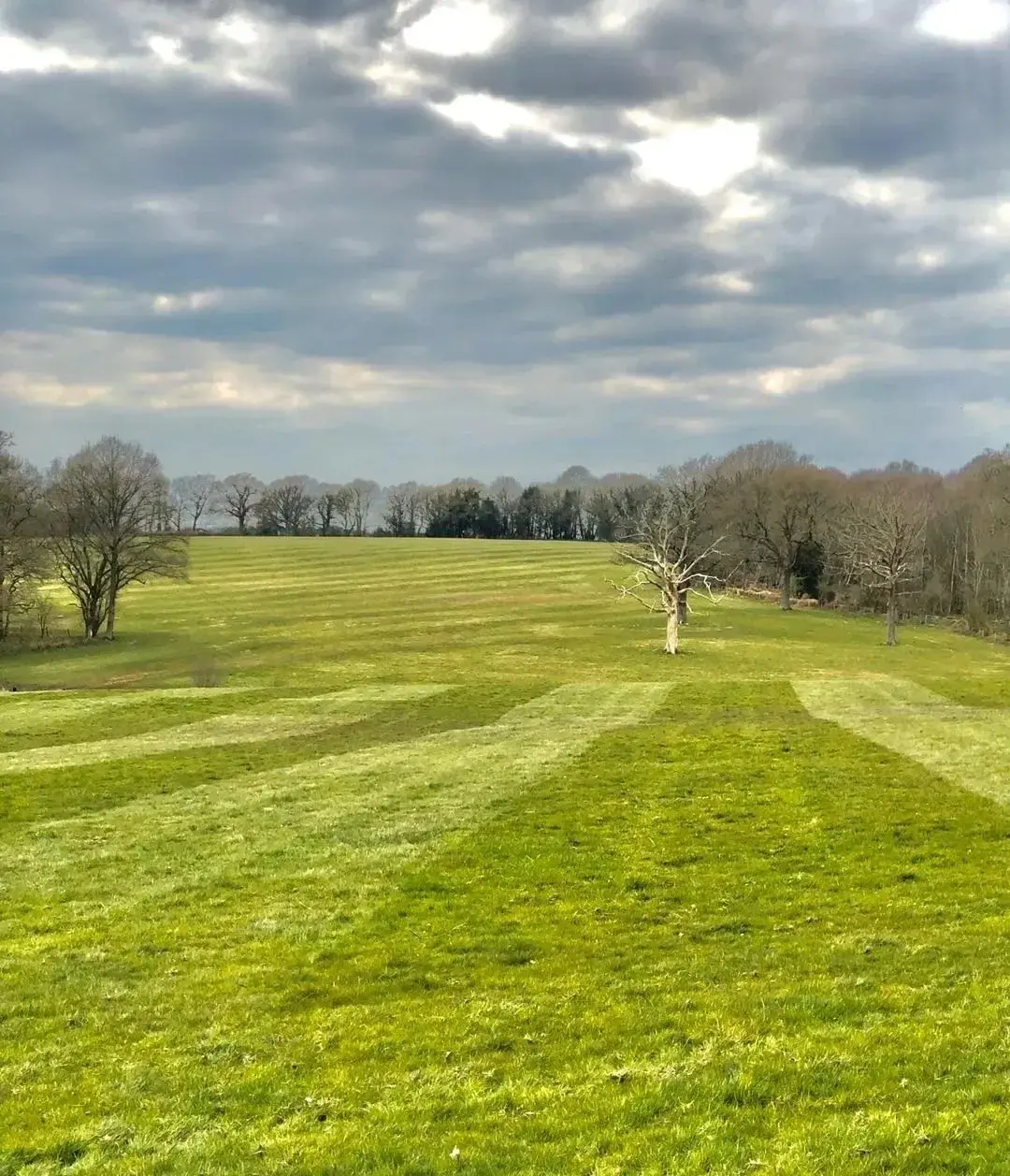 Park Farm photo 1