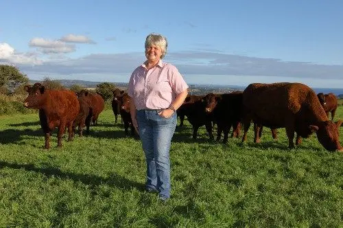 Higher Trenowin Farm main photo