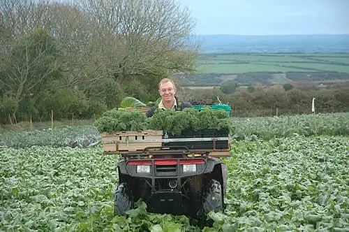 Higher Trenowin Farm photo 3