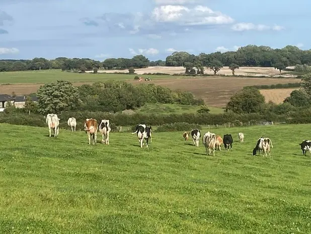 Castle Farm photo 1