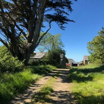 Cadwgan Farm photo 4