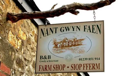 Nantgwynfaen Organic Farm Accommodation & Farm Shop photo 1