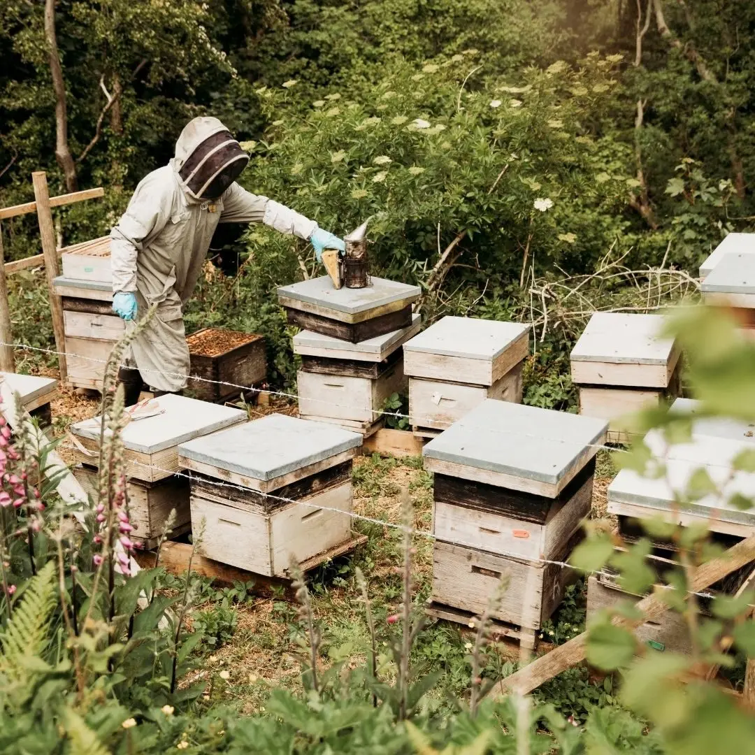 Afon Mêl Honey Farm & Meadery photo 3