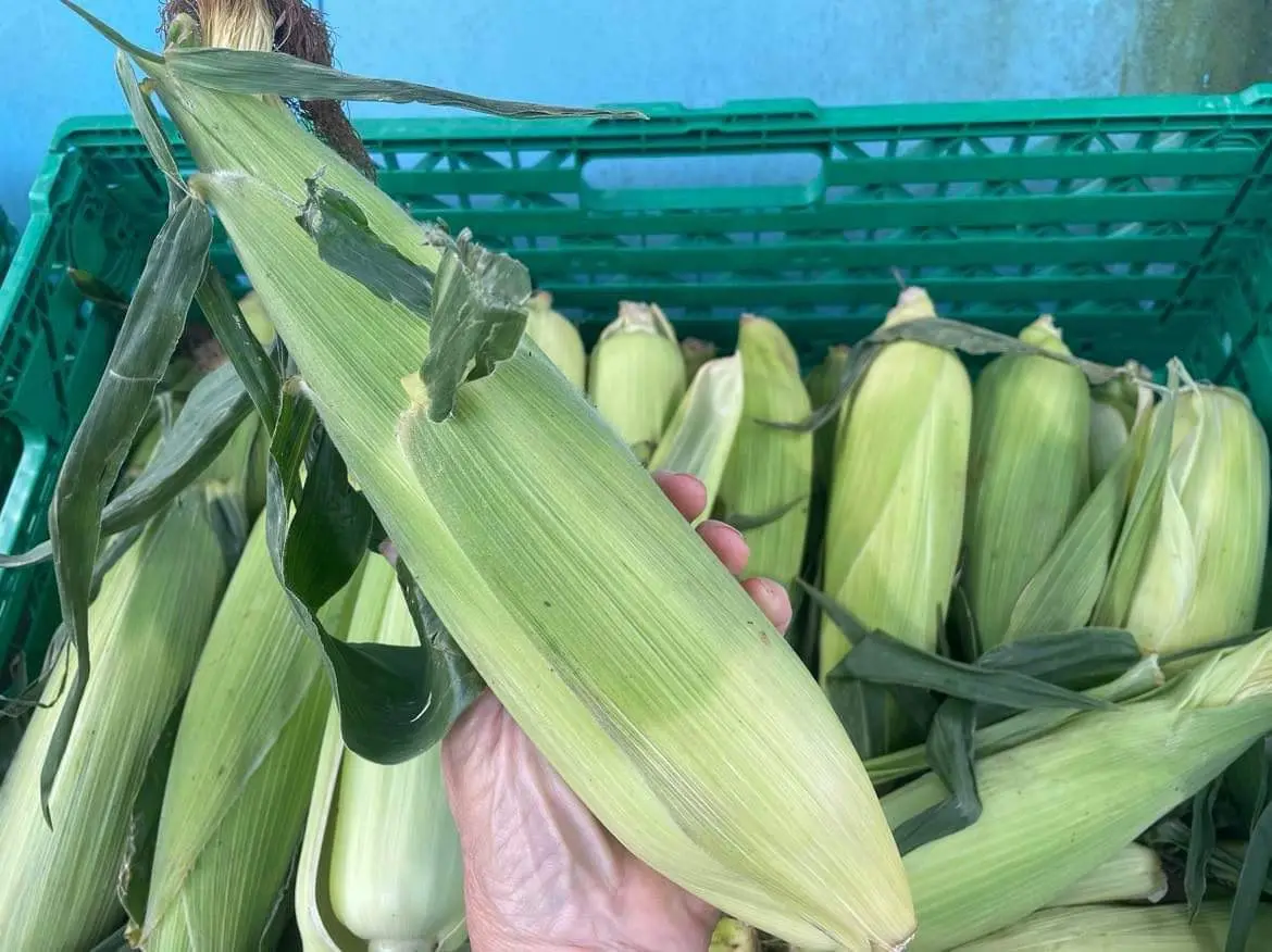 Square Farm Shop photo 3