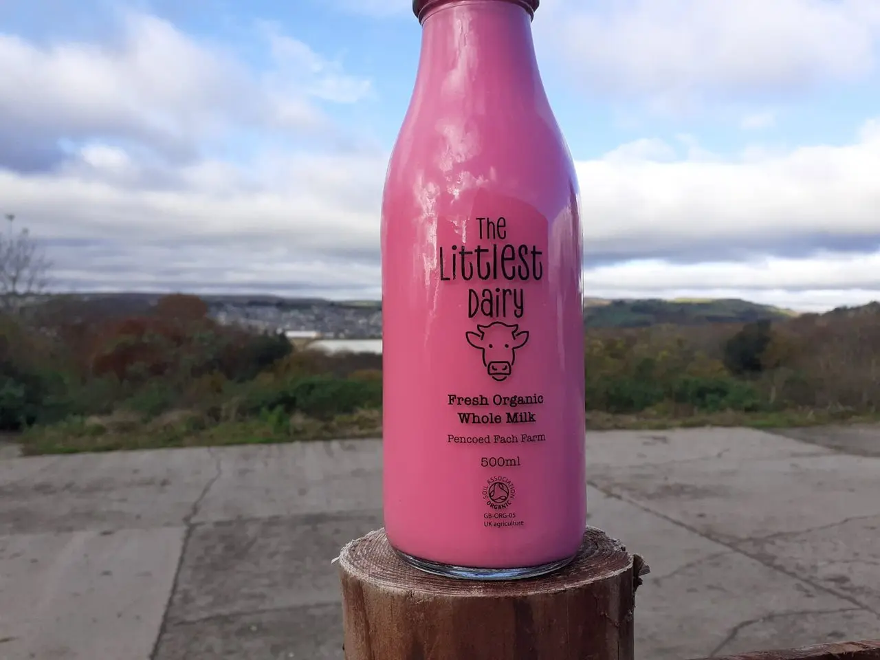 The Littlest Dairy (Pencoed Fach Farm) photo 3