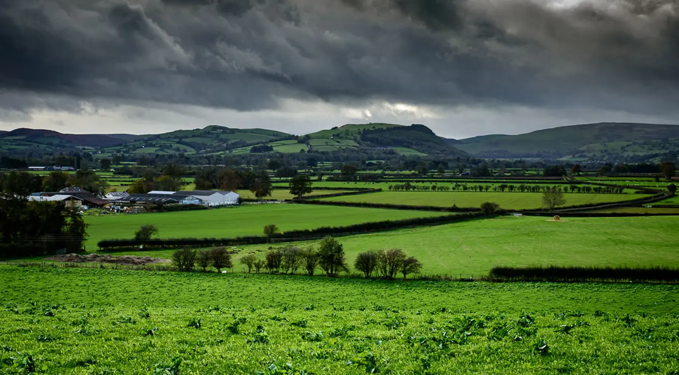 Hindwell Farm Meats photo 3