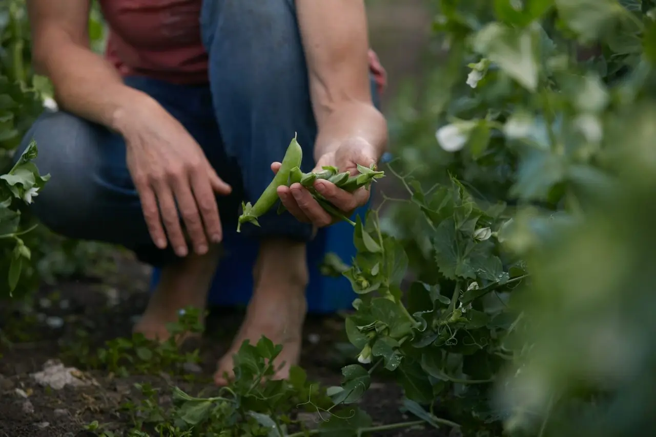 Slade Farm Organics photo 3