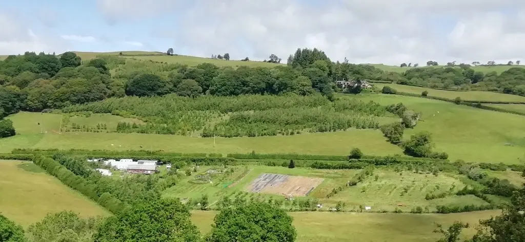 Ash & Elm Horticulture