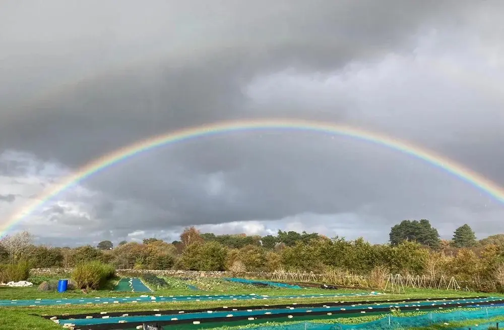 Pandy Farm photo 4