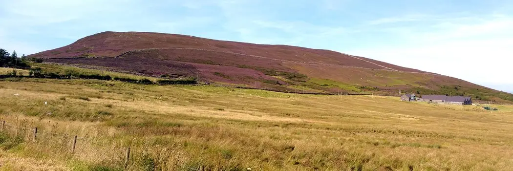 Blas Lôn Las (Ffarm Moelyci) photo 3