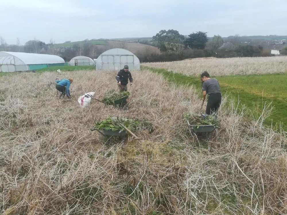 Glebelands Market Garden
