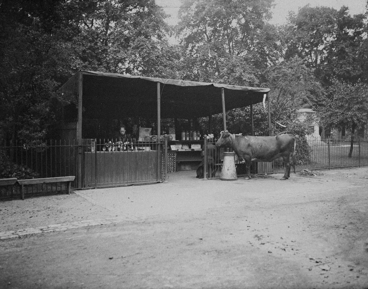 Soho Dairy photo 1
