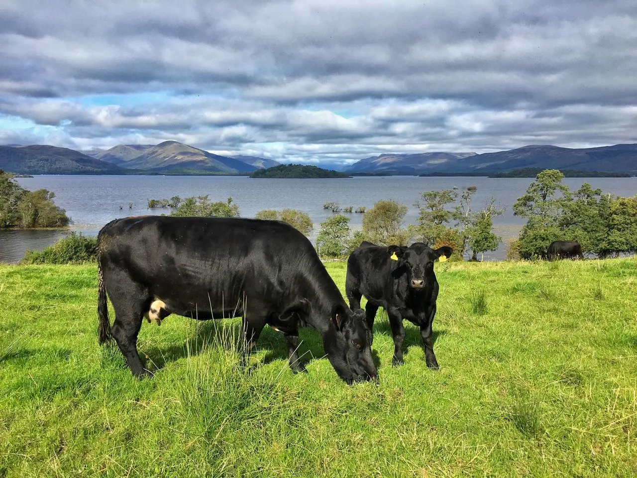 Portnellan Farm main photo
