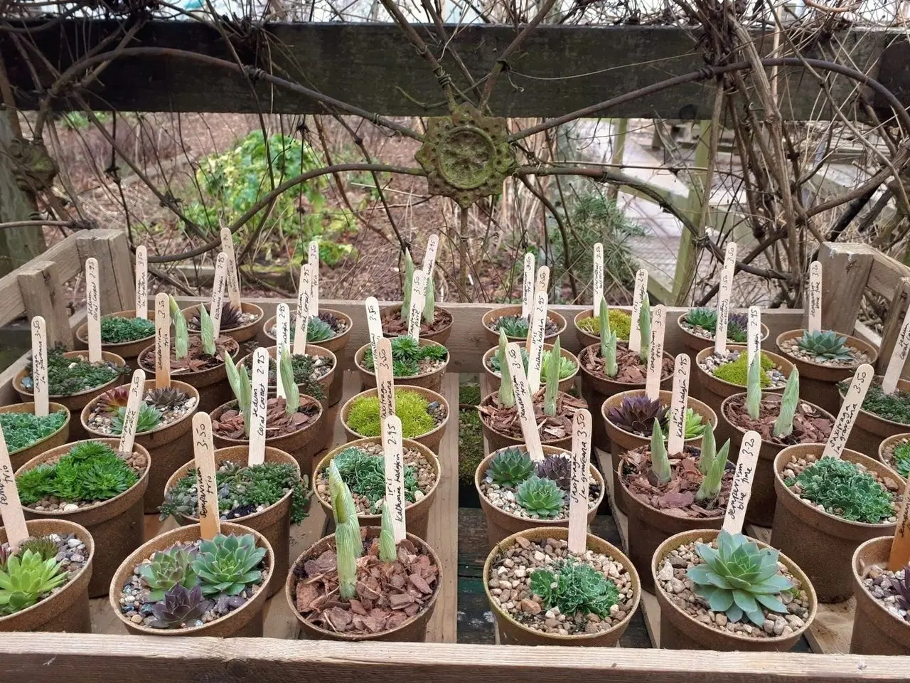 Pillars of Hercules Organic Farm Shop & Cafe photo 4