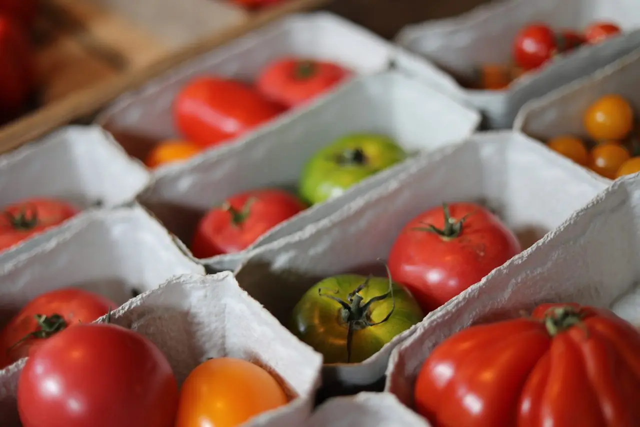 Westerton Farm – Farm to Table photo 2