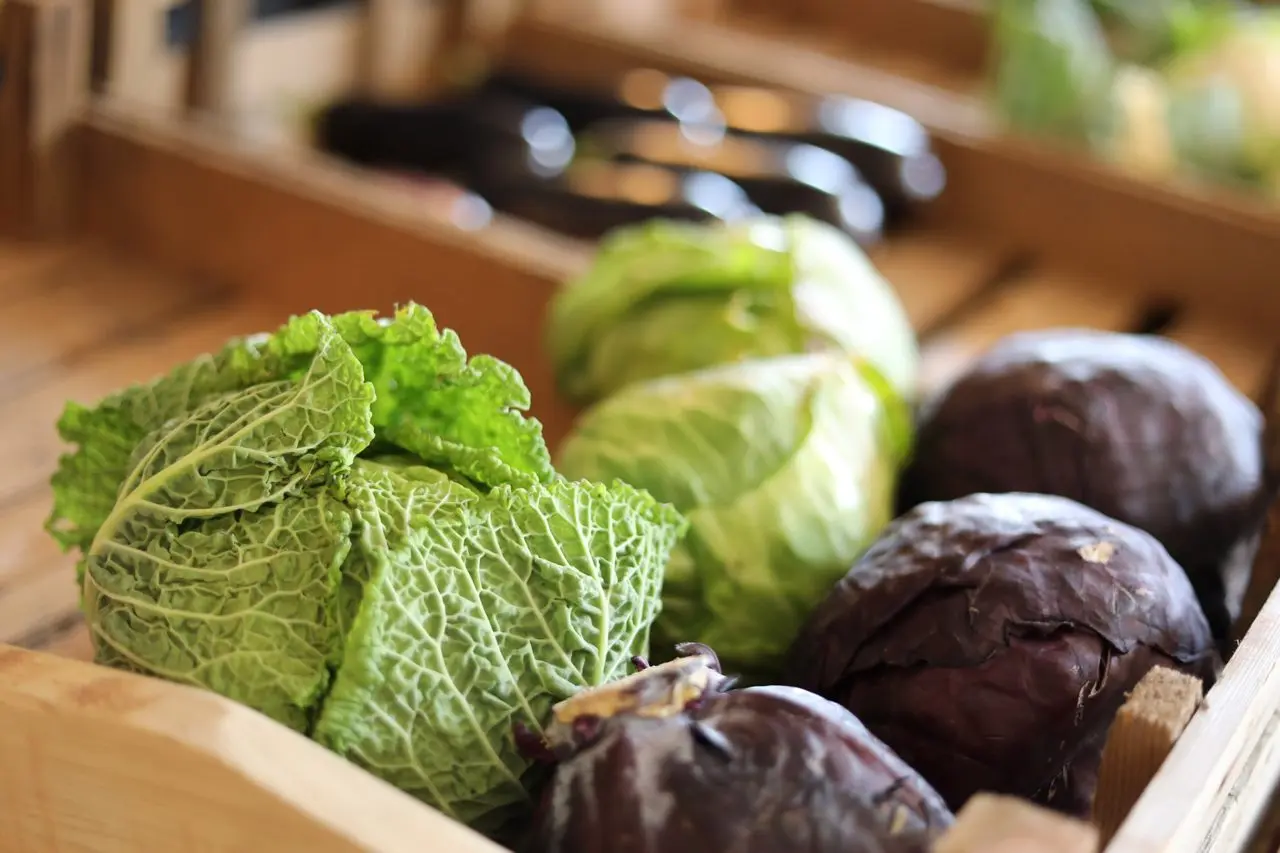 Westerton Farm – Farm to Table photo 3