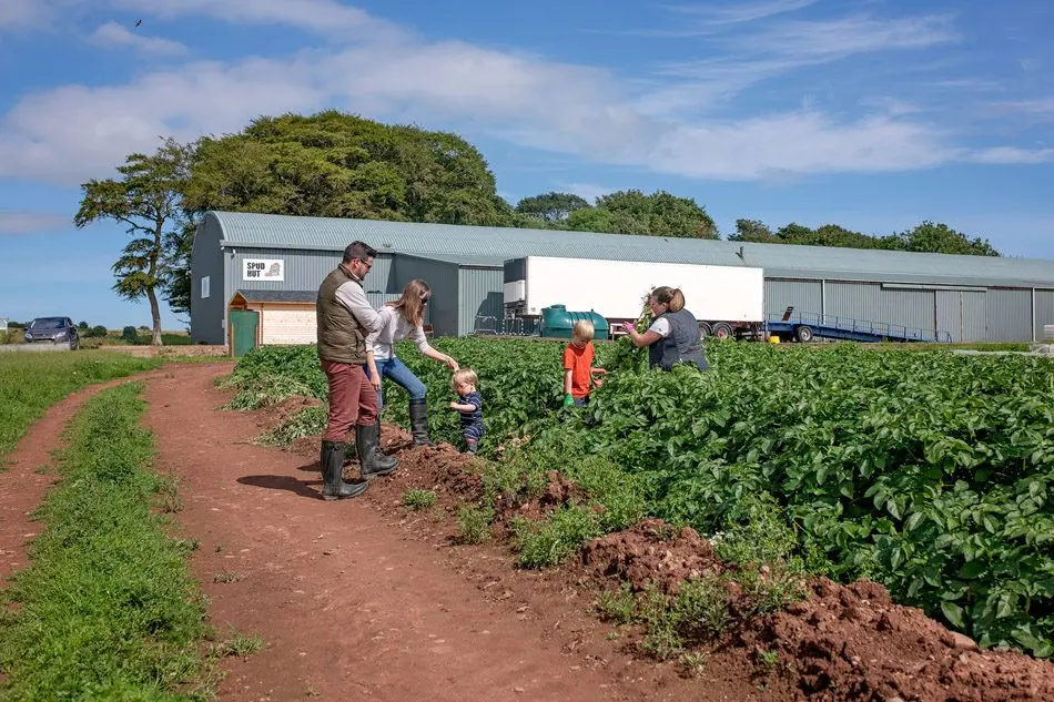 Westerton Farm – Farm to Table photo 4