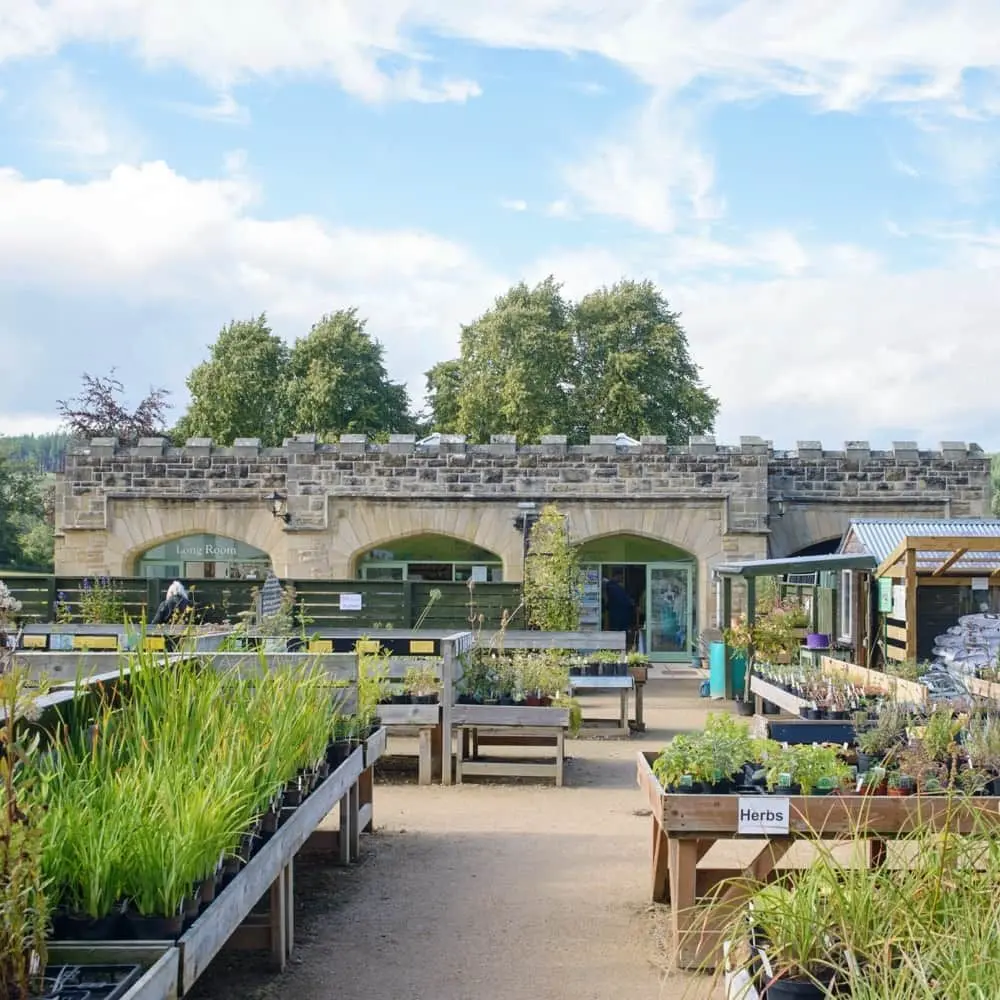 Logie Steading Farm & Garden Shop photo 1
