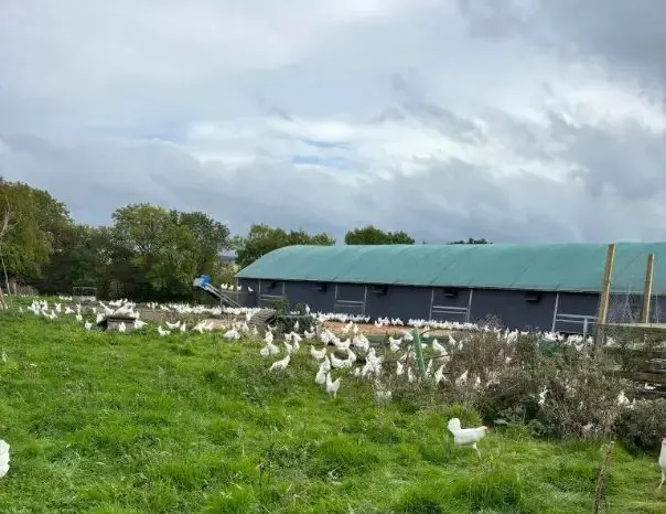 Lower Mill of Tynet Farm photo 4