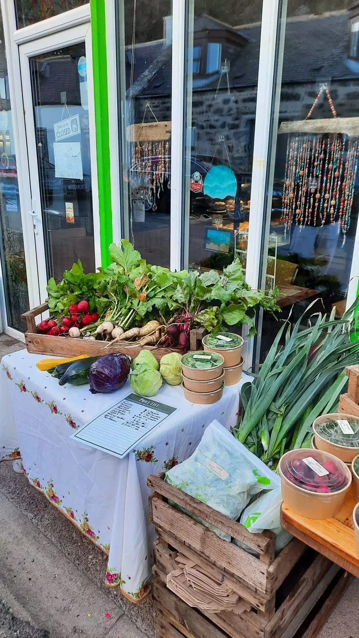 Gamrie Gardens CIC photo 3