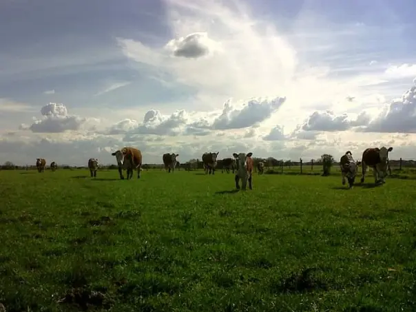Hedges Farm Shop photo 2