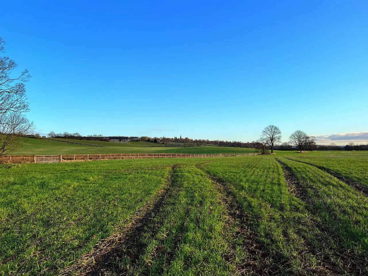 Urquhart Farms photo 1