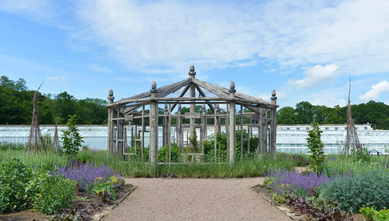 Floors Castle photo 4