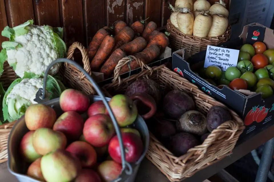 Fenton Barns Farm Shop & Café photo 3
