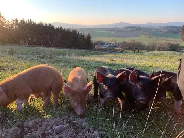 Rootin' and Roamin' photo 2