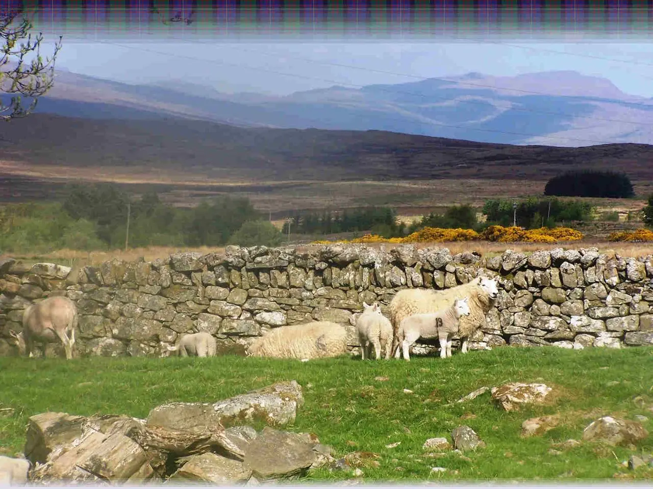 Highland Croft Produce main photo