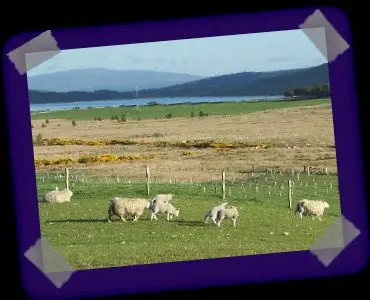 Highland Croft Produce photo 1