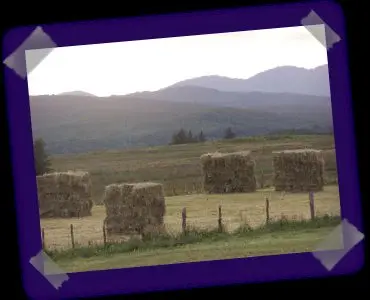Highland Croft Produce photo 3