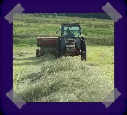 Highland Croft Produce photo 4